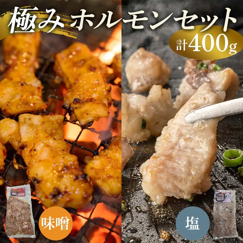 極みホルモンセット 合計400g(塩ホルモン 200g・味噌ホルモン 200g
