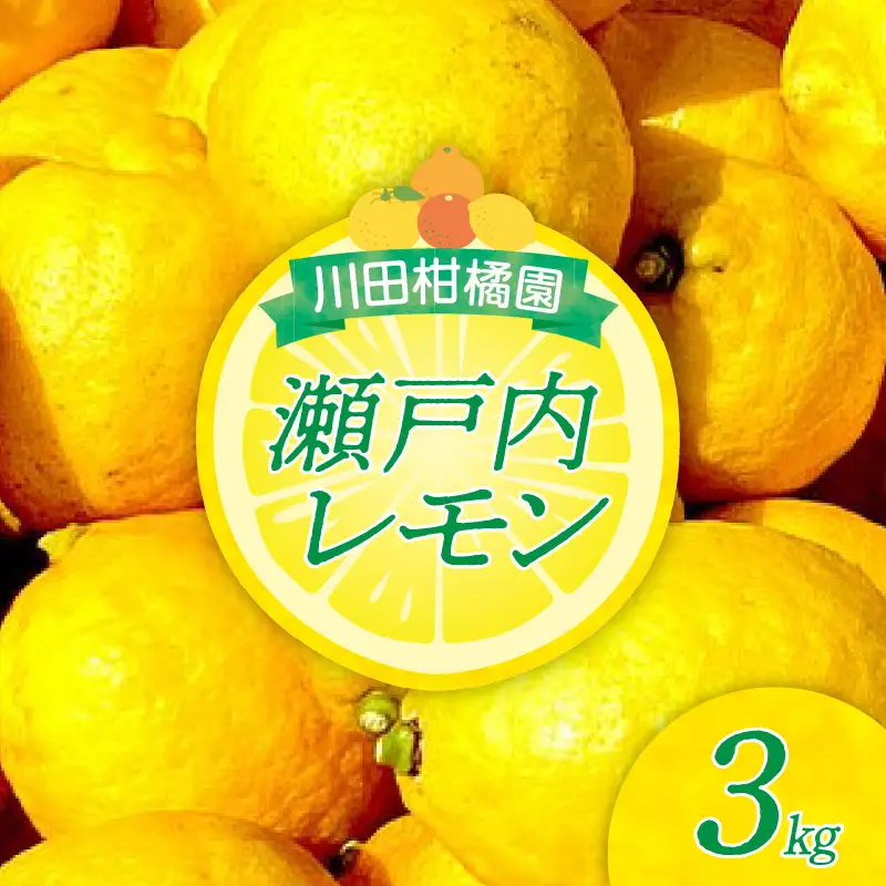 先行受付 2027年1月初旬～発送 広島県産 「瀬戸内レモン」3kg
