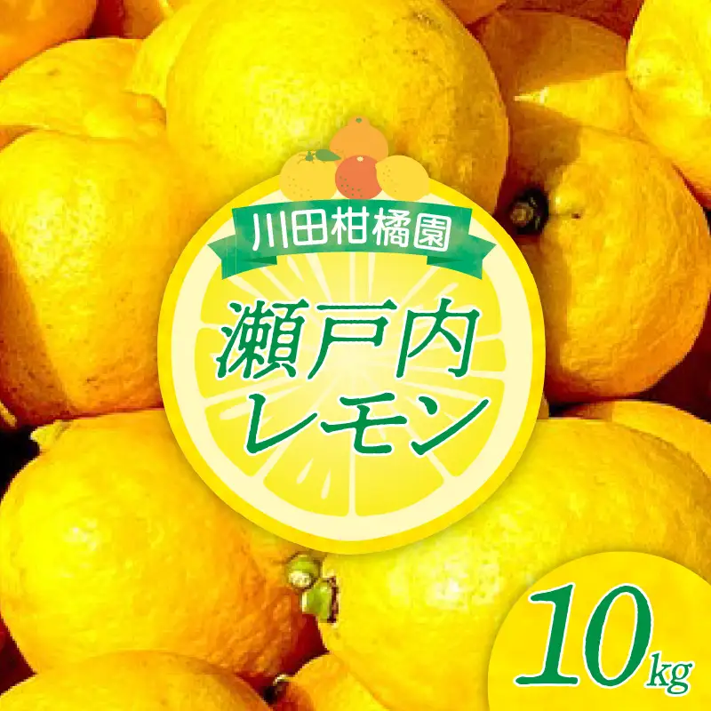 先行受付 2027年1月初旬～発送 広島県産 「瀬戸内レモン」10kg