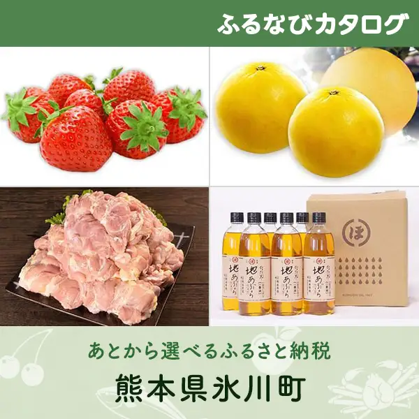【有効期限なし！後からゆっくり特産品を選べる】熊本県氷川町カタログポイント