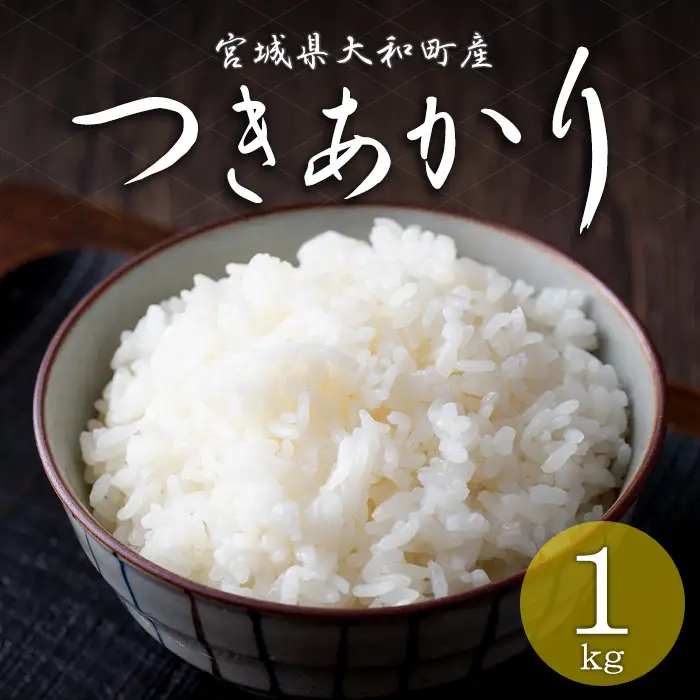 【令和8年産 新米】＜先行予約受付中！R8年9月下旬から順次発送予定＞つきあかり 1kg お米 おこめ 米 コメ 白米 ご飯 ごはん おにぎり お弁当【赤間農業開発株式会社】ta717
