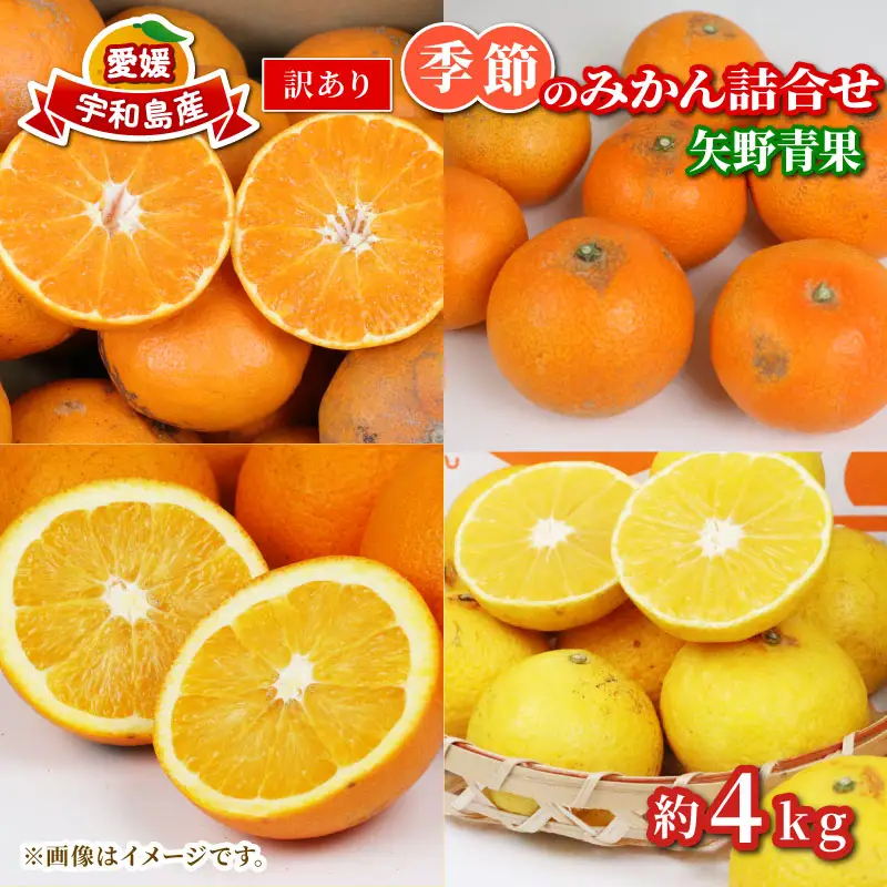 【みかん】訳ありみかん詰め合わせ約4kg矢野青果|B006-171048