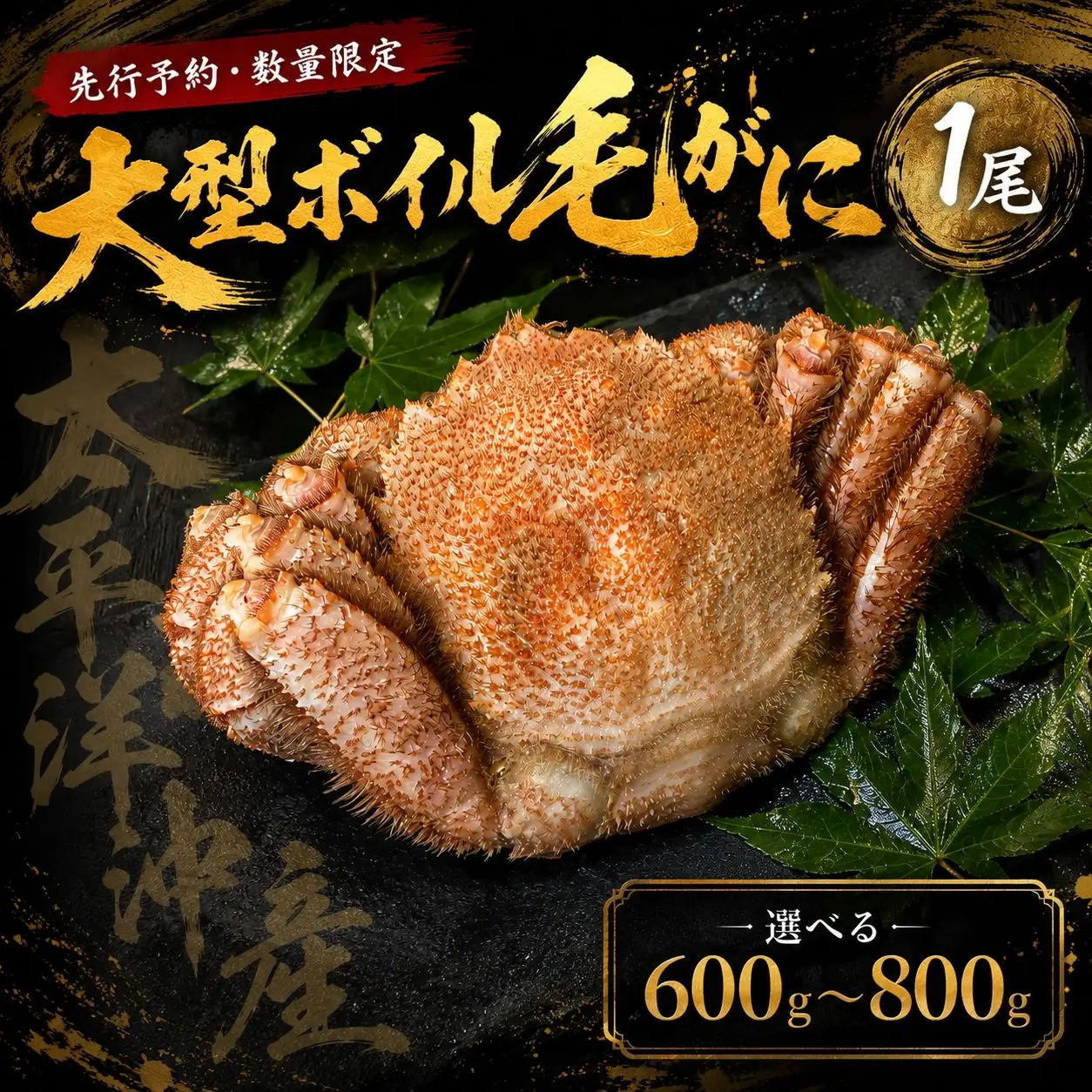 【先行予約・数量限定】大型ボイル毛ガニ【700g】　１尾（茹で冷凍）【けがに　ケガニ　毛蟹　毛がに　カニ　太平洋　北海道　広尾町　冷凍　ボイル　海鮮　グルメ】（0145）