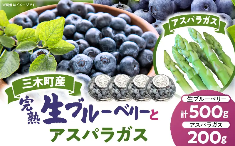 【期間限定】完熟生ブルーベリー約500g＋アスパラガス約200g|生ブルーベリー 完熟 フルーツ 眼に良い フレッシュ ジューシー 香り 旬の果物 香川県 三木町 アスパラガス セット |_mk173-006 9,230円
