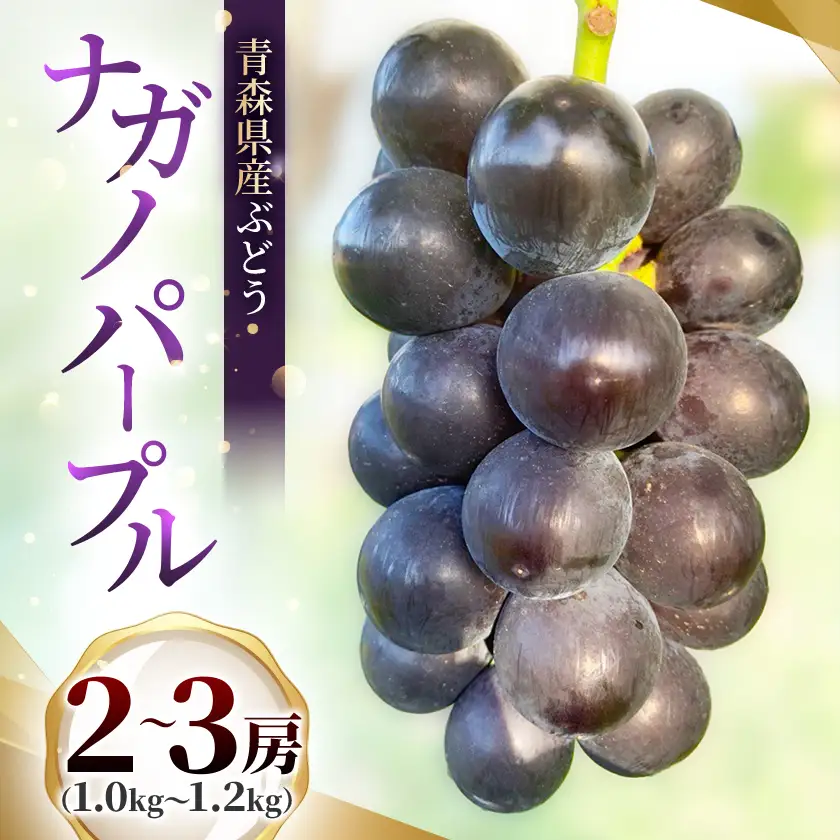 青森県産ぶどう　ナガノパープル　2～3房(1kg以上)【配送不可地域：離島】【1763861】