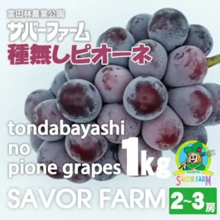 種無しピオーネ1kg(2～3房)【配送不可地域：離島】【1763150】