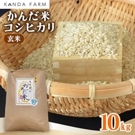令和7年産】鮮度の米 かんだ米『コシヒカリ』玄米 10kg×1袋【1760444