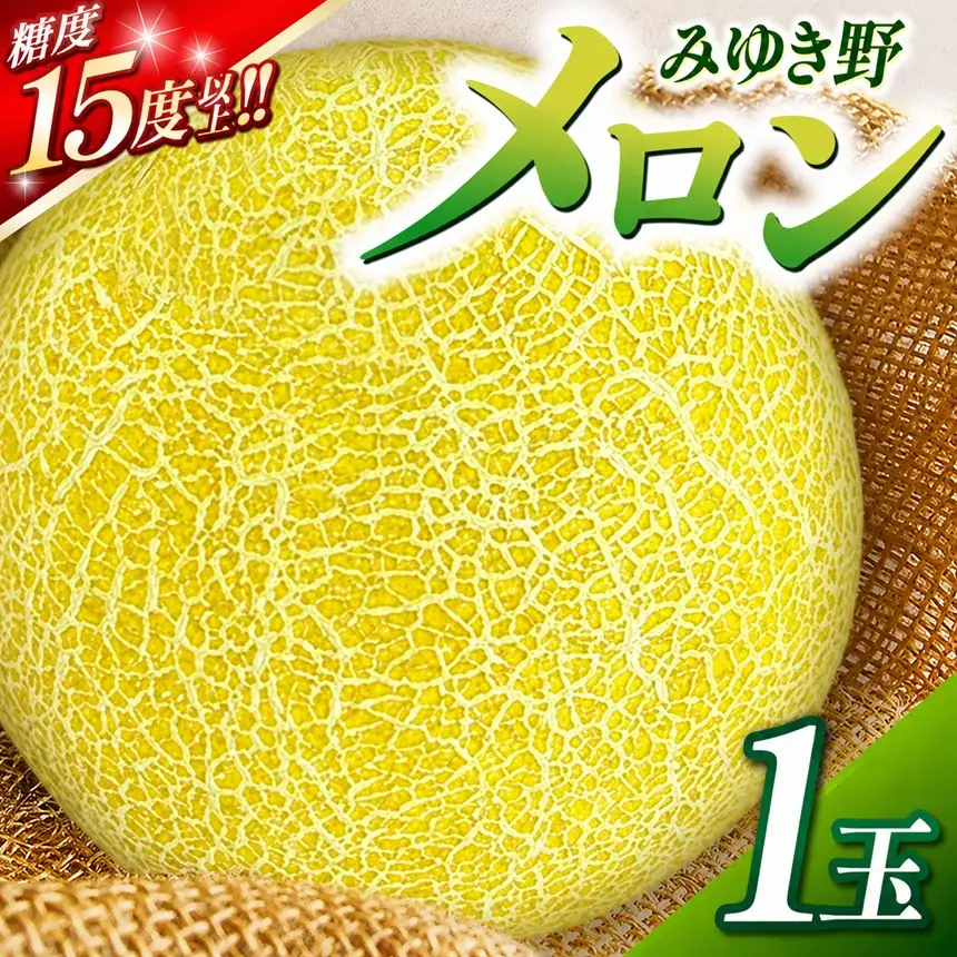 みゆき野メロン1玉 | メロン みゆき野メロン みゆき野 フルーツ 信州 木島平 北信州