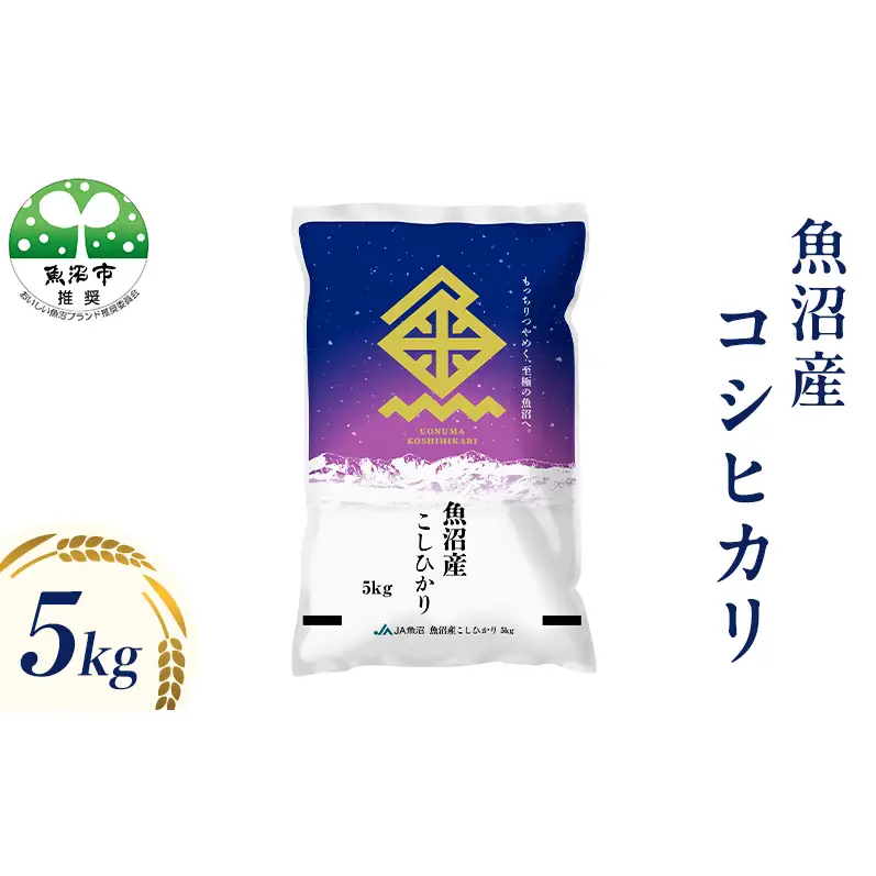 令和7年産 魚沼産 コシヒカリ （精米） 5kg
