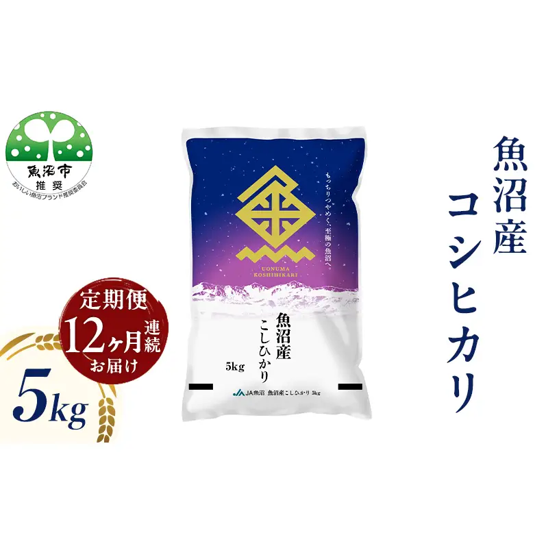 魚沼産 コシヒカリ （精米） 5kg 12回 定期便