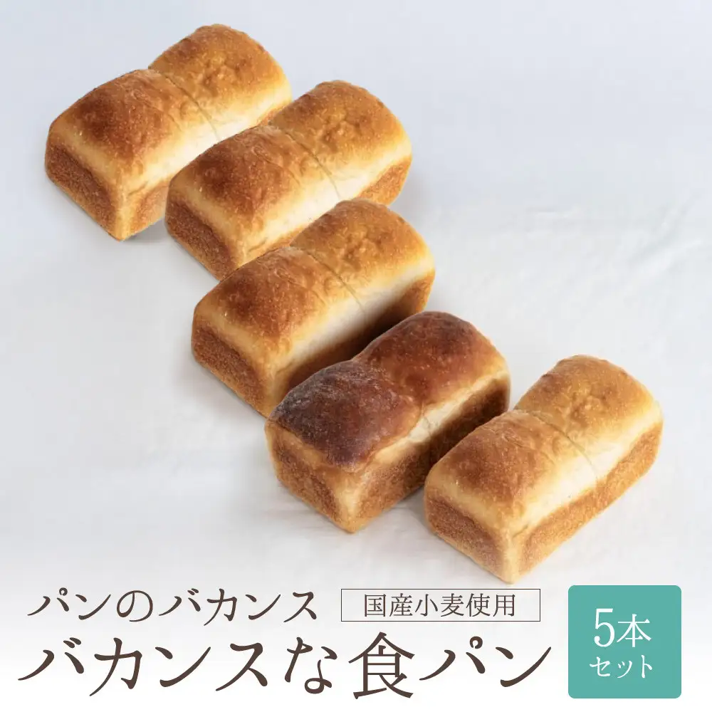 パンのバカンス　バカンスな食パン5本セット