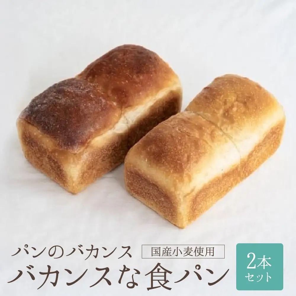 パンのバカンス　バカンスな食パン2本セット