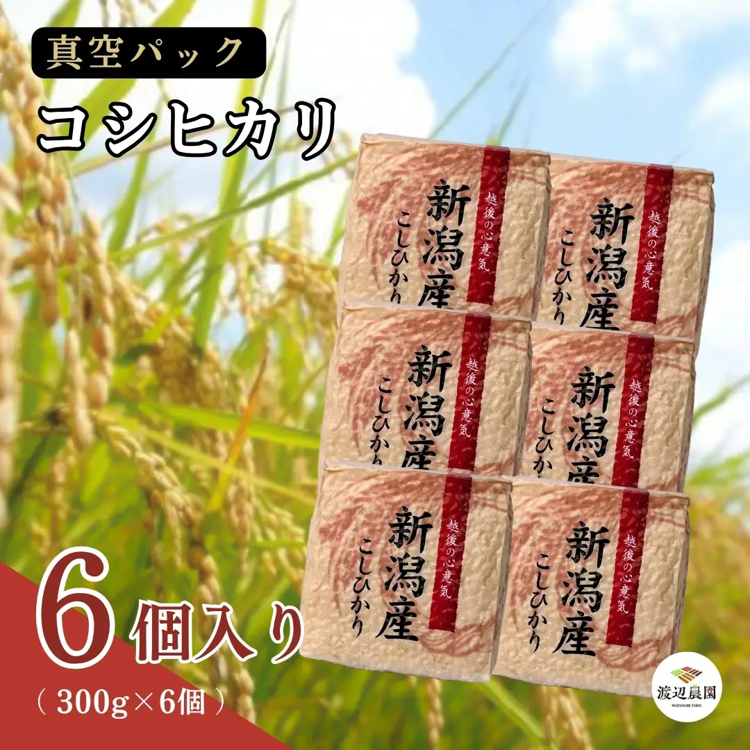 米 真空パック コシヒカリ 300g×6個 精米 渡辺農園｜お米 お試し 真空パック