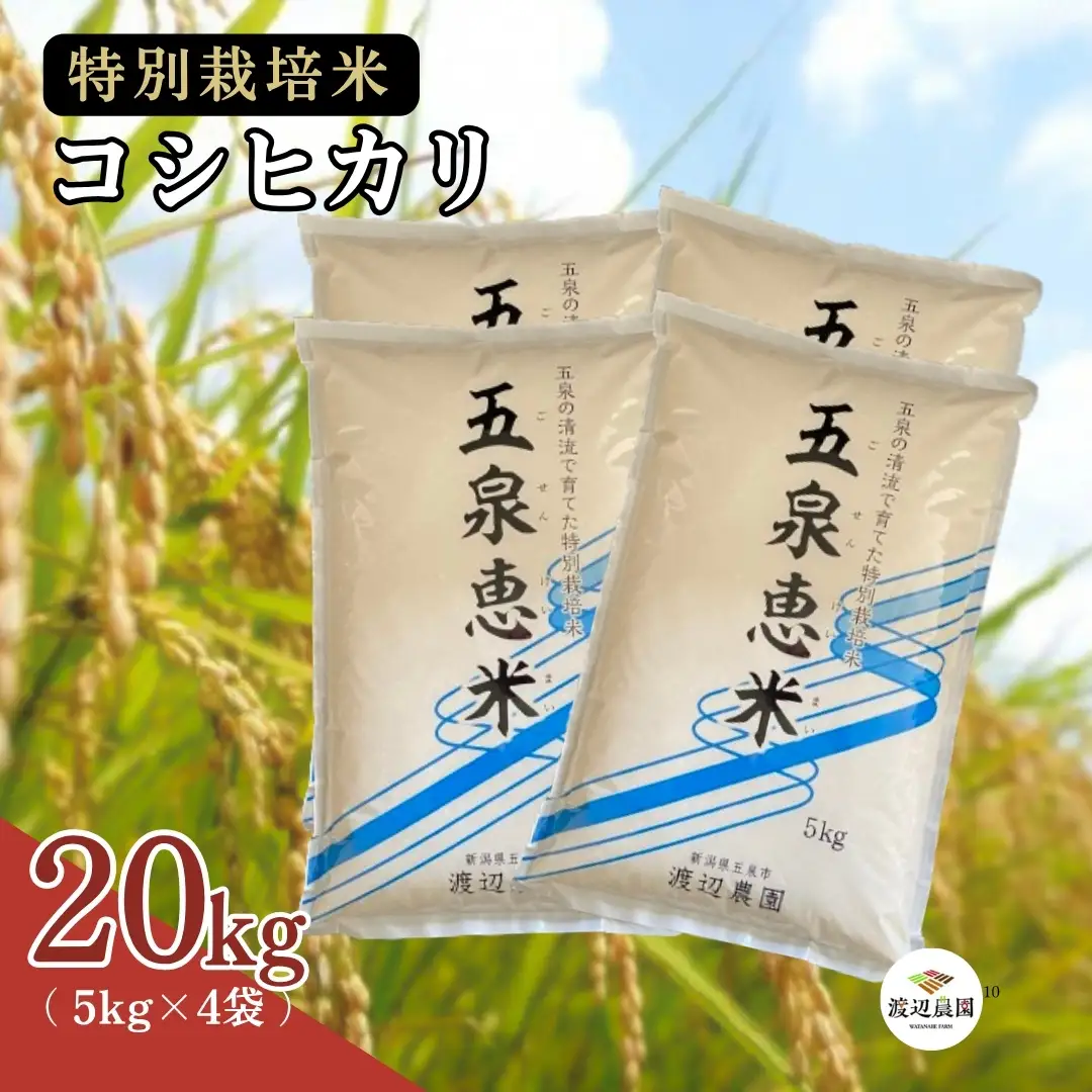 コシヒカリ　20kg　特別栽培米 令和7年産】 渡辺農園の特別栽培米コシヒカリ 20kg(5kg×4袋) 新潟県
