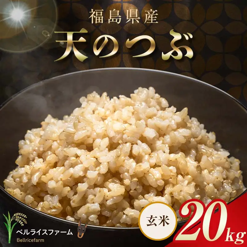 〈先行予約〉令和8年産 農家直送 ベルライスファーム 天のつぶ 玄米 20㎏ F6U-444