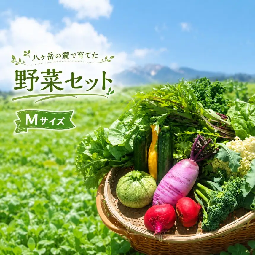 野菜セット Mサイズ【2026年6月上旬～11月中旬発送】｜八ヶ岳 純ちゃんファーム