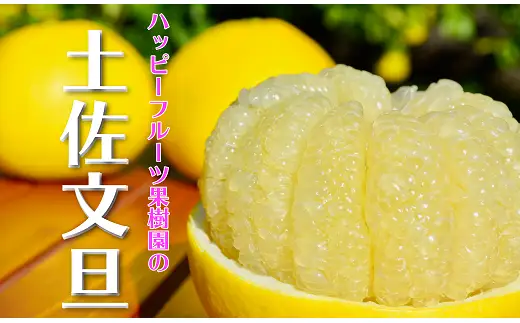 ハッピーフルーツ果樹園 土佐文旦 12kg (3kg × 4箱) 家庭用