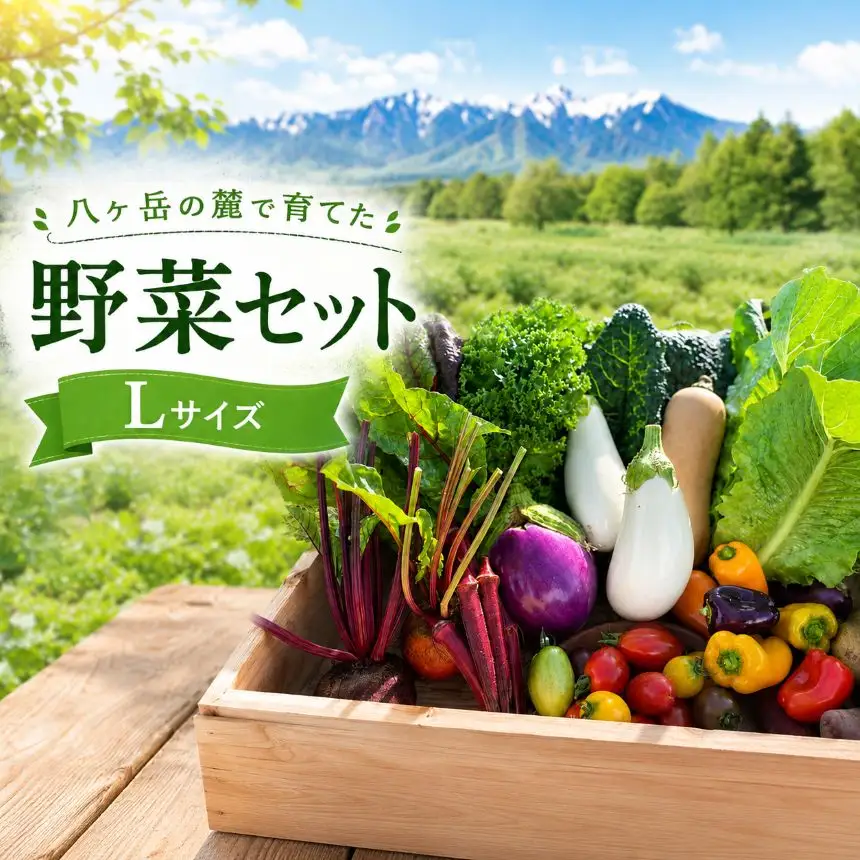 野菜セット Lサイズ【2026年6月上旬～11月中旬発送】｜八ヶ岳 純ちゃんファーム