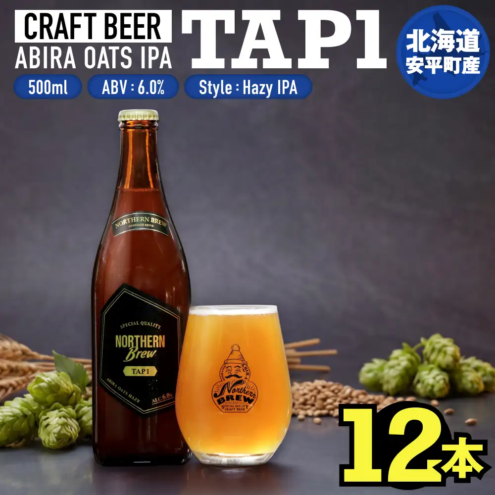 ふるさと納税】クラフトビール NORTHERN BREW ＜TAP1 (ABIRA OATS HAZY
