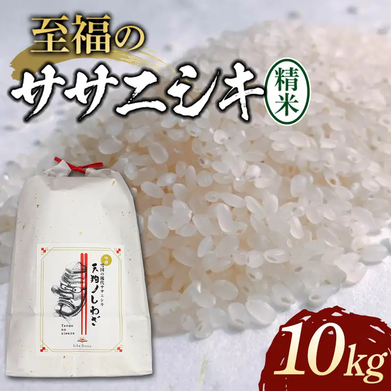 【令和8年産米先行予約】 至福のササニシキ精米 5kg×2袋 米 お米 おこめ 山形県 新庄市 F3S-2872
