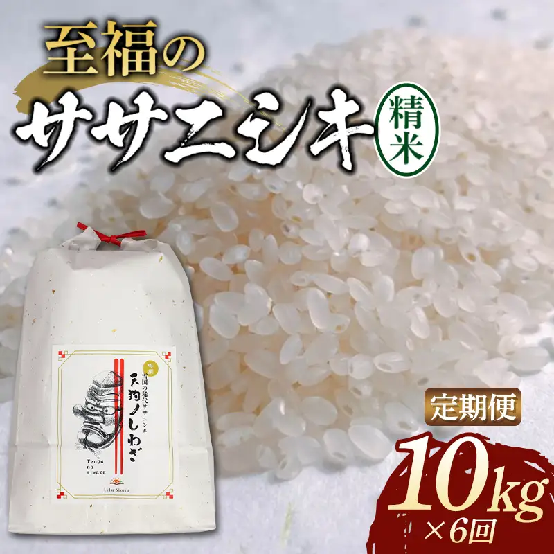 【令和8年産米先行予約】 (全6回定期便) 至福のササニシキ精米 5kg×2袋 米 お米 おこめ 山形県 新庄市 F3S-2873