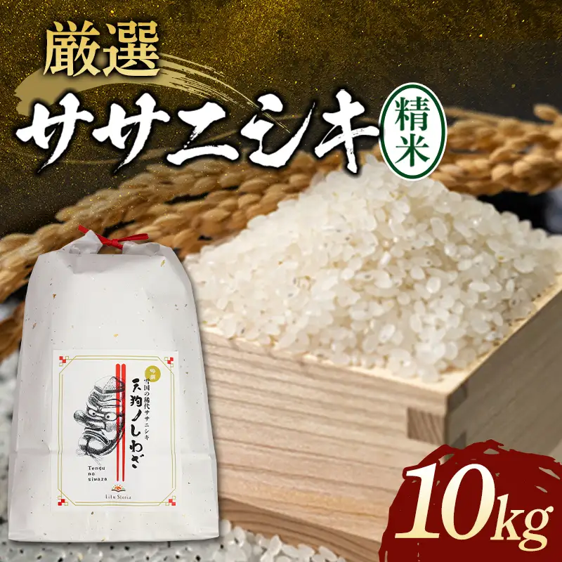 【令和8年産米先行予約】 厳選ササニシキ 5kg×2袋 米 お米 おこめ 山形県 新庄市 F3S-2883