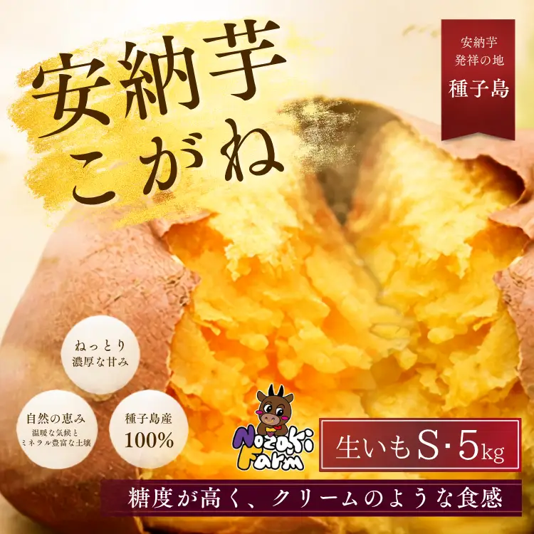 【 先行予約 】 種子島 野﨑ファーム 安納いも ( こがね )  S サイズ 5kg　NFN656【300pt】// 安納芋 本場  糖度 熟成期間 G.I 保護制度 ブランド  生いも 芋 いも さつまいも