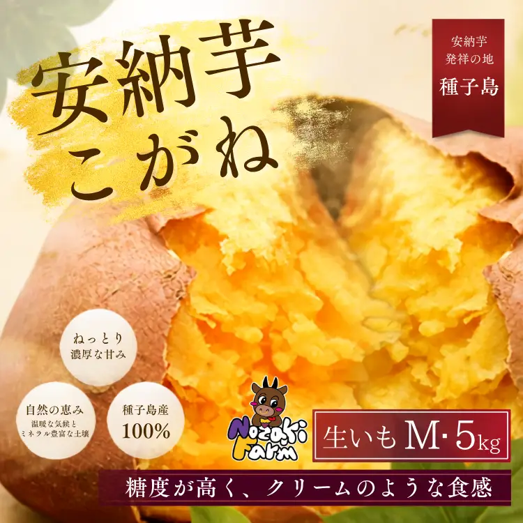 【 先行予約 】 種子島 野﨑ファーム 安納いも ( こがね )  M サイズ 5kg　NFN657【300pt】// 安納芋 本場  糖度 熟成期間 G.I 保護制度 ブランド  生いも 芋 いも さつまいも 