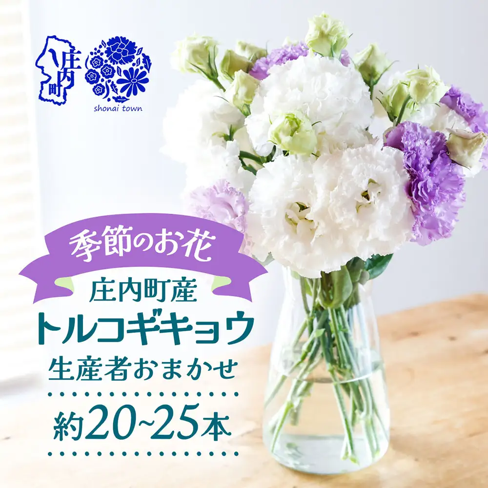 【R8.9月下旬から11月初旬】トルコキキョウ 20本から25本 切り花 生産者おまかせ 2~3色ミックス 白 紫 緑 トルコギキョウ 秋限定 仏花 結婚祝い 旬の花 季節の花 八重咲き フリンジ咲き 花 生花 花束 冷蔵便 国産 庄内町フラワーラボ