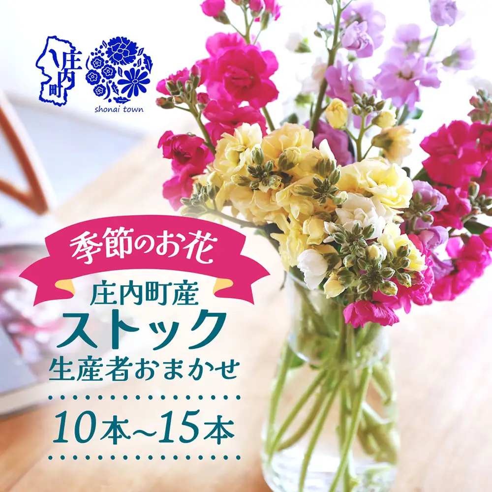 R8.12月発送】ストック 10本~15本 切り花 生産者おまかせ ミックス