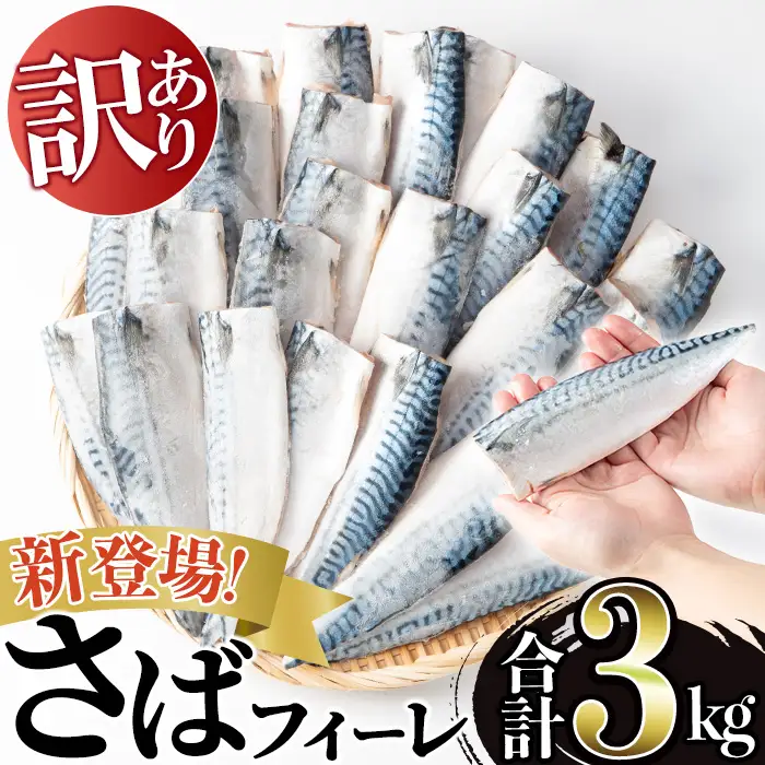 訳あり 無塩 とろさば フィーレ 約3kg 干物 さば フィレ 切り身 【みのだ食品】No.1383-C