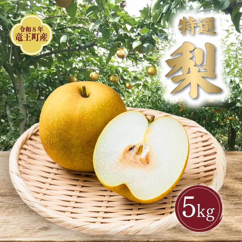 【2026年8～9月発送】 梨 5kg フルーツ 果実 くだもの 竜王産 滋賀県 竜王町 送料無料 期間限定 数量限定