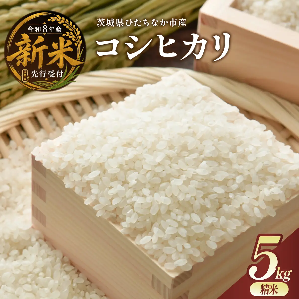 令和8年度新米 コシヒカリ 精米 5kg  | 新米 お米 こしひかり コシヒカリ