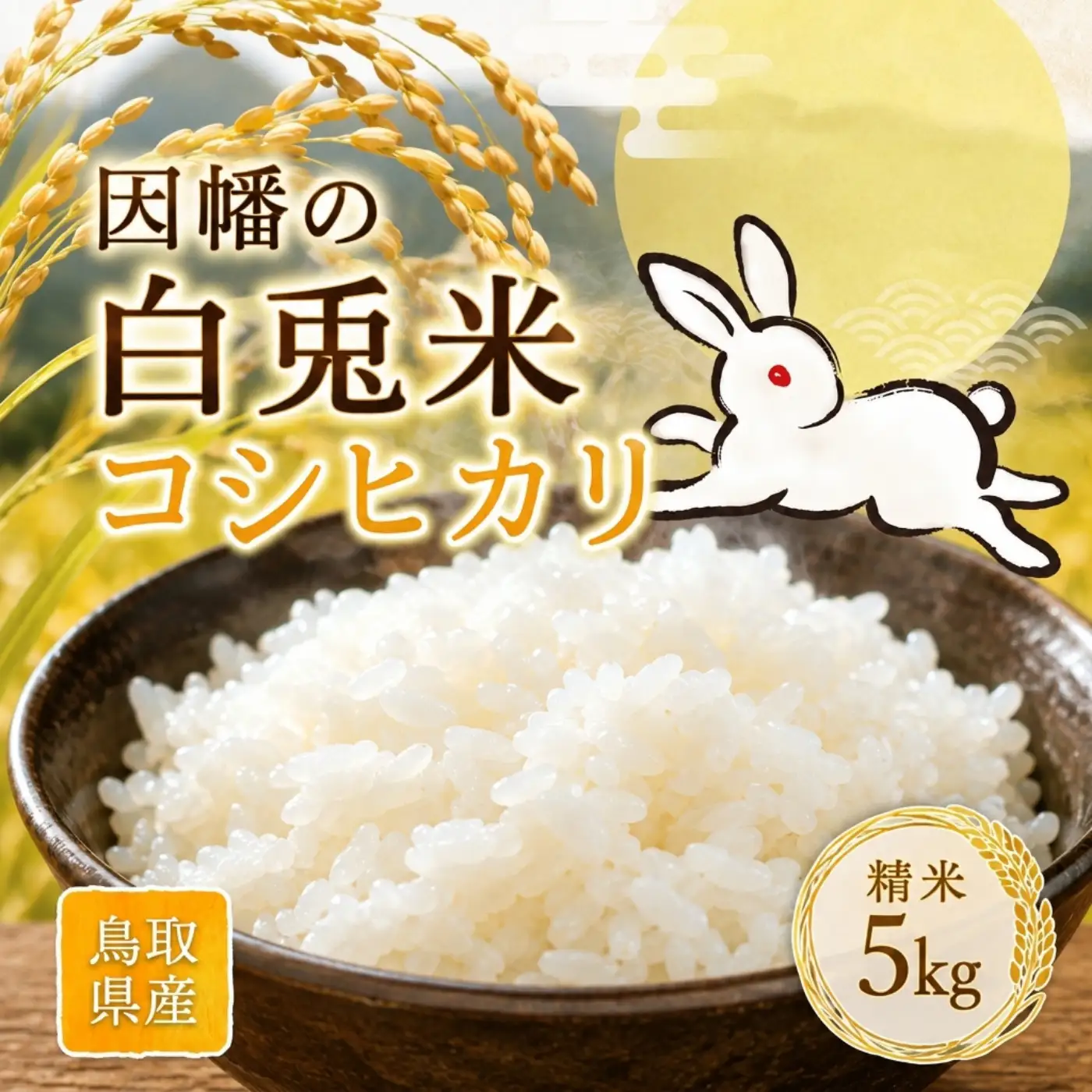 Y1111 因幡の白兎米 コシヒカリ 令和8年度産 精米済 5kg
