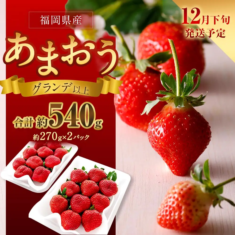 福岡県産苺 「 あまおう 」 グランデ以上 270g × 2パック 計540g いちご イチゴ 苺 果物 くだもの 果実 フルーツ 果肉 いちごの王様 国産 福岡県産 【 2026年12月下旬発送予定 】