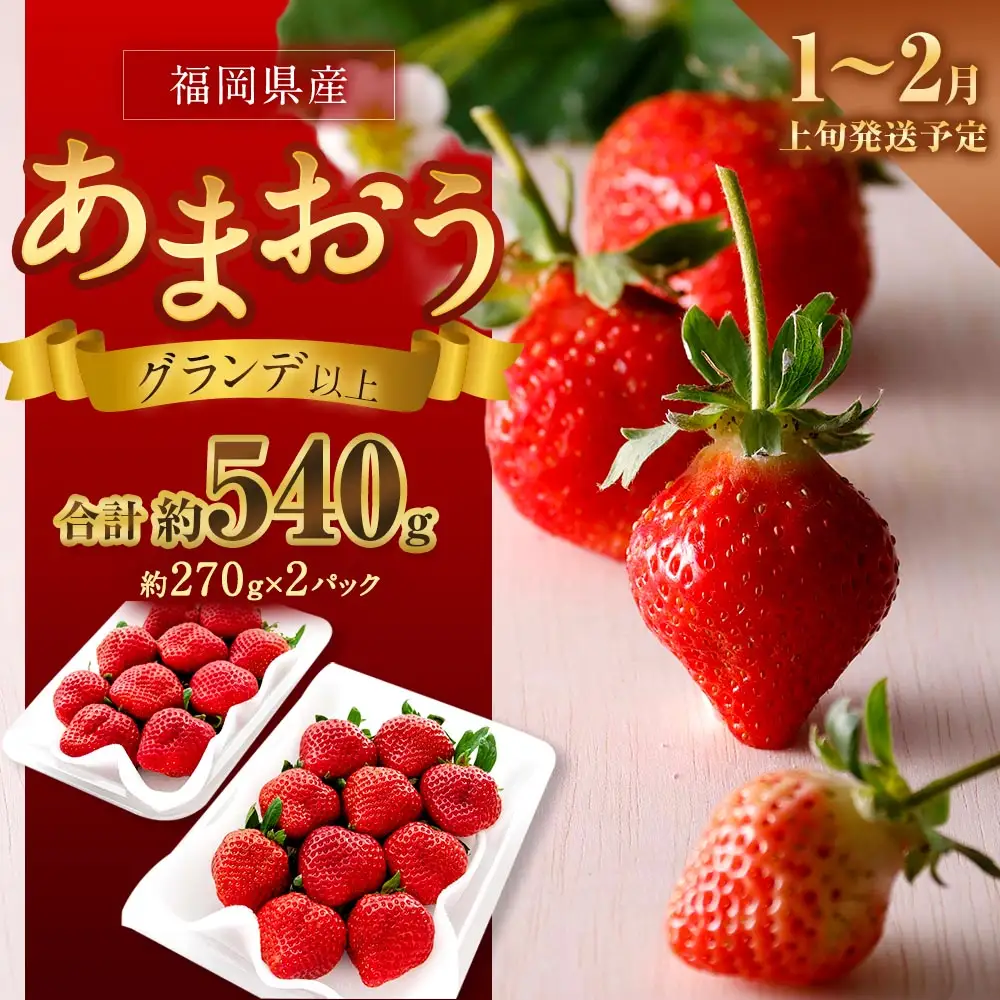 福岡県産苺 「 あまおう 」 グランデ以上 270g × 2パック 計540g いちご イチゴ 苺 果物 くだもの 果実 フルーツ 果肉 いちごの王様 国産 福岡県産 【 2027年1月上旬～2月上旬発送予定 】