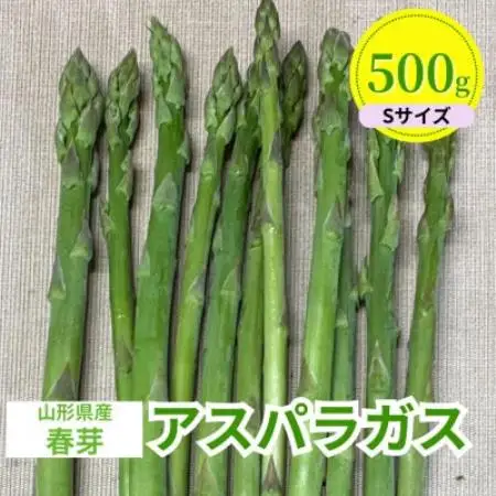 【先行予約】令和9年 山形県川西町産雪国春アスパラガス Sサイズ　500g【配送不可地域：離島・北海道・沖縄県・信越、北陸・近畿・中国・四国・九州】【1764672】