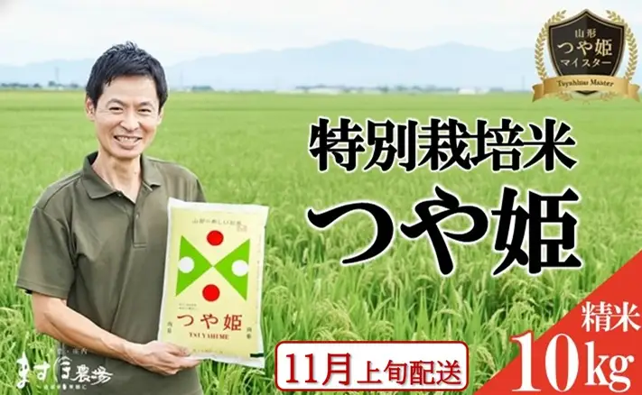 SC0729　11月上旬配送／令和8年産【精米】つや姫マイスターが作った 特別栽培米『つや姫』10kg(5kg×2袋)［減農薬・減化学肥料］ MA