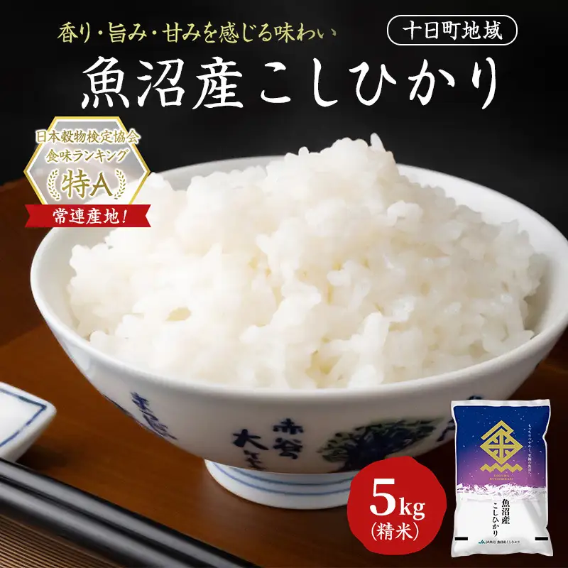 【令和8年産 先行予約】魚沼産こしひかり(十日町地域) 精米 5kg 米 お米 コシヒカリ 十日町市