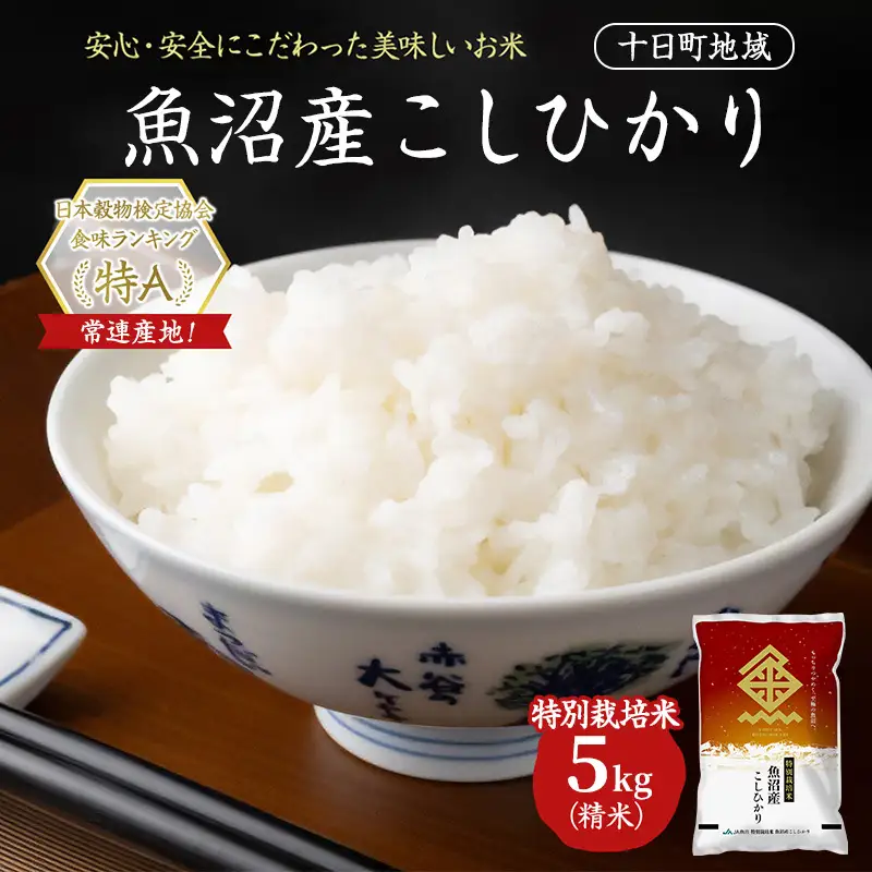 【令和8年産 先行予約】特別栽培米 魚沼産こしひかり(十日町地域) 精米 5kg 米 お米 コシヒカリ 十日町市
