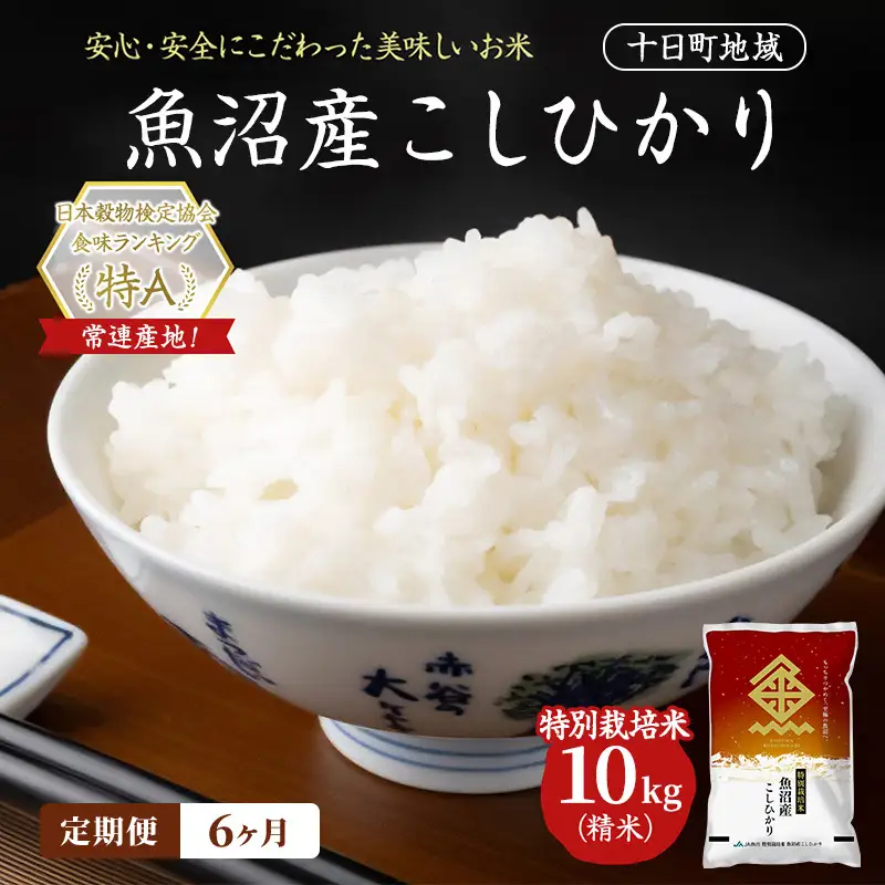【令和8年産 先行予約】【6ヶ月定期便】特別栽培米 魚沼産こしひかり(十日町地域) 精米 10kg(5kg×2) 米 お米 コシヒカリ 定期 十日町市