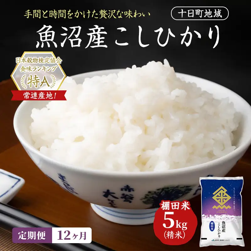 【令和8年産 先行予約】【12ヶ月定期便】魚沼産こしひかり 棚田米(十日町地域) 精米 5kg 米 お米 コシヒカリ 定期 十日町市