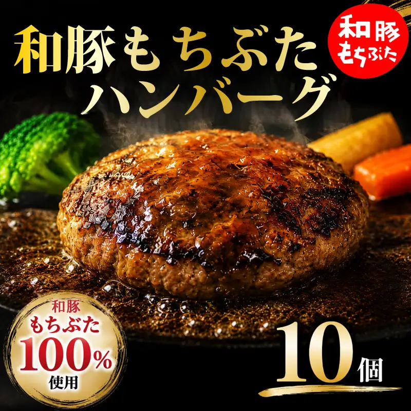 和豚もちぶた100％ ハンバーグ 10個 ハンバーグ ハンバーグ 新発田 新発田市 肉の片山 katayama015_01