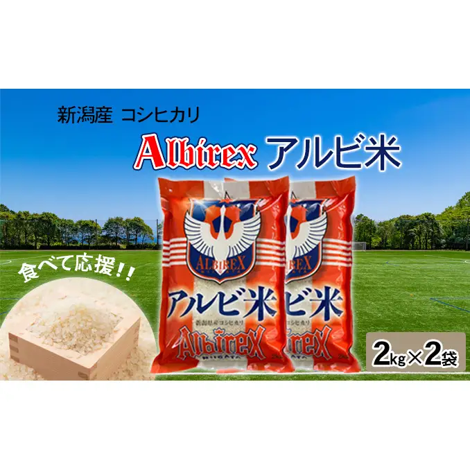【先行予約】R8年産【アルビ米】新潟産コシヒカリ精米2kg×2袋 お米 白米 ブランド米 銘柄米 ご飯 おにぎり お弁当 和食 主食 国産 炭水化物 直送 産地直送