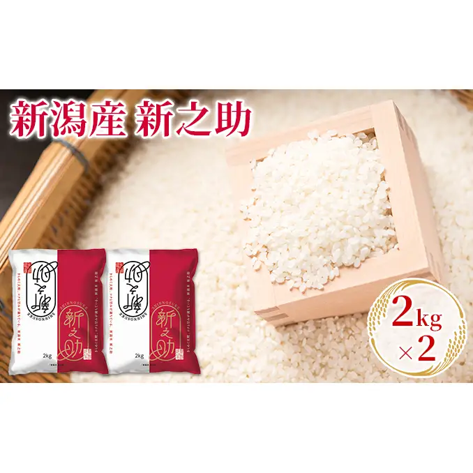 【先行予約】R8年産新潟産新之助 2kg×2 お米 精米 白米 ご飯 ブランド米 銘柄米 おにぎり お弁当 産地直送