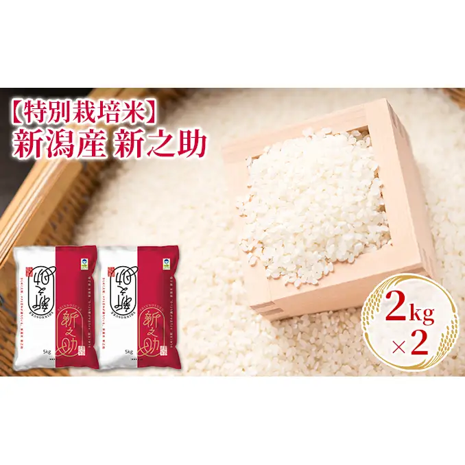 【先行予約】R8年産【特別栽培米】新潟産新之助 2kg×2 お米 精米 白米 ご飯 ブランド米 銘柄米 おにぎり お弁当 産地直送
