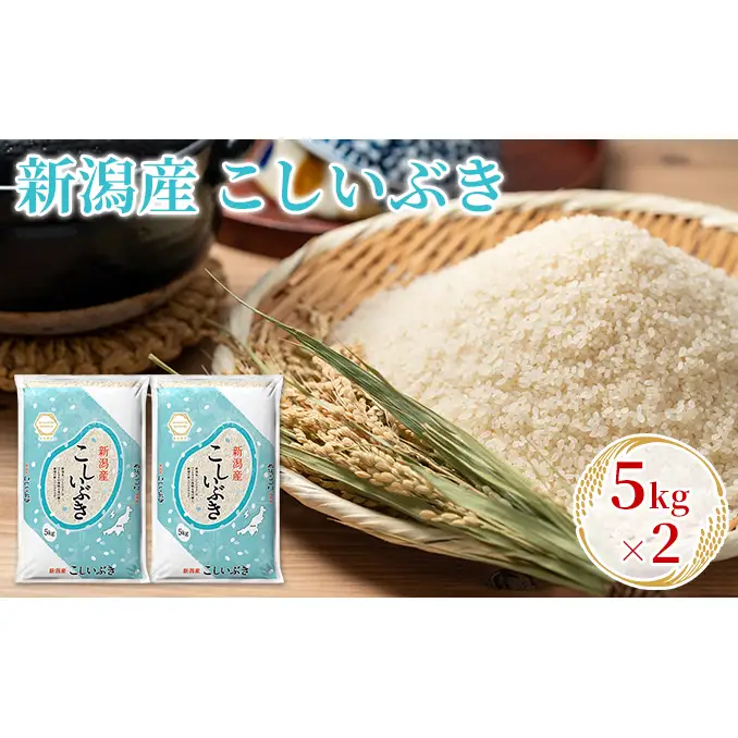 【先行予約】R8年産新潟産こしいぶき 5kg×2 お米 精米 白米 ご飯 ブランド米 銘柄米 おにぎり お弁当 産地直送