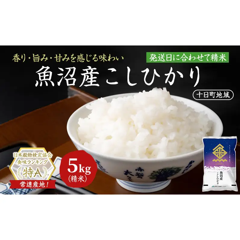 【令和8年産 先行予約】魚沼産こしひかり(十日町地域) 精米 5kg 米 お米 コシヒカリ 十日町市