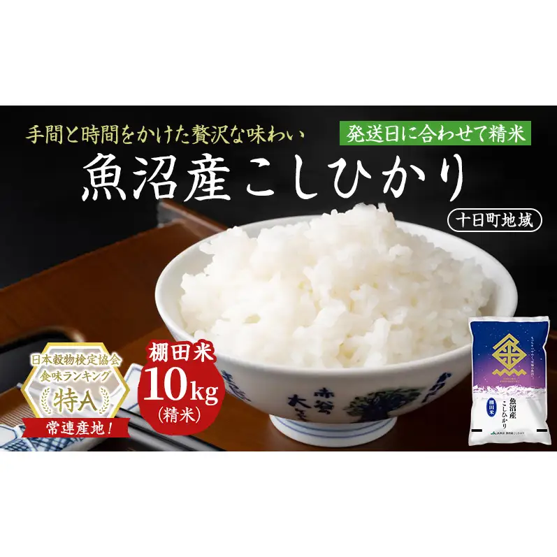 【令和8年産 先行予約】魚沼産こしひかり 棚田米(十日町地域) 精米 10kg(5kg×2) 米 お米 コシヒカリ 十日町市