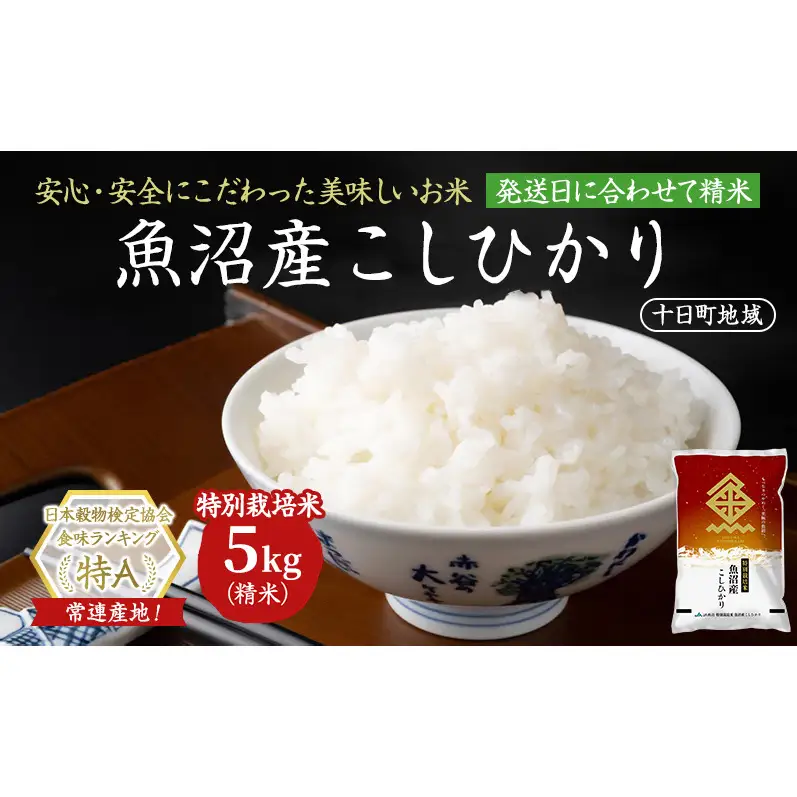 【令和8年産 先行予約】特別栽培米 魚沼産こしひかり(十日町地域) 精米 5kg 米 お米 コシヒカリ 十日町市
